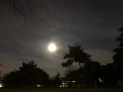 -北京国家会计学院