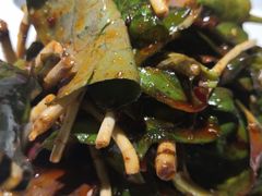 -雲蜀龙阁·金牌水煮鱼(方庄店)