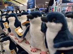 -悉尼海洋生物水族馆