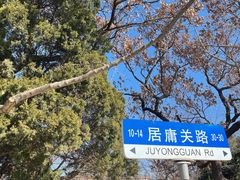 -八大关景区