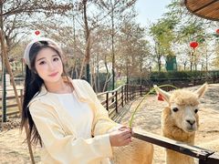 -盈香心动乐园
