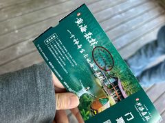 -黄海国家森林公园