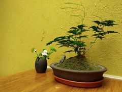 -京怀石·壬生