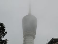 -梧桐山风景名胜区