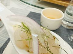金鲷鱼鱼生-寻味顺德·南记酒家·传统顺德菜·鱼生(广源路店)