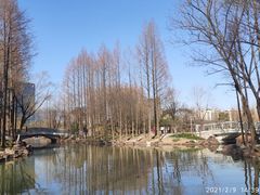 -大宁公园