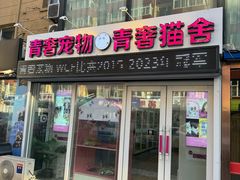 -青奢宠物·青奢猫舍