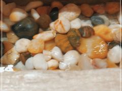 -申鲜大师·简餐(科技生态园店)