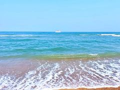 -日照海滨国家森林公园