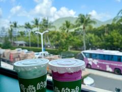 -太琼糟粕醋·海南酸汤火锅(亚龙湾店)