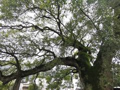 景点-新安江山水画廊风景区