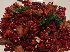 -大鸭梨烤鸭(顺义石园店)