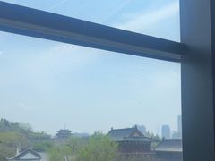 -七欣天香辣蟹火锅(南京建宁路大观天地店)