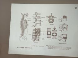 -亚太瑜伽普拉提学院