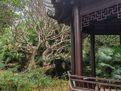 -南沙蒲洲花园