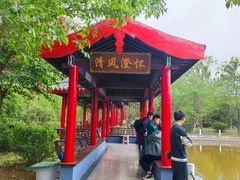 -莱阳濯村樱花园