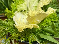 -清真·马家火锅美食城(镇江北路店)