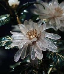 -花轿喜屋婚礼策划