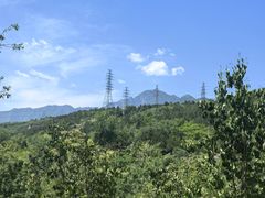 -白水寺森林公园