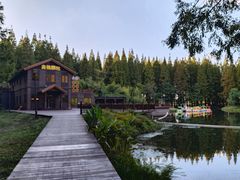 -黄海国家森林公园