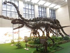 -广西壮族自治区博物馆