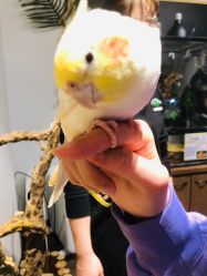 -Zoolung Zoolung动物主题公园(海信广场店)