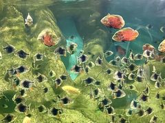 -大明湖海底世界
