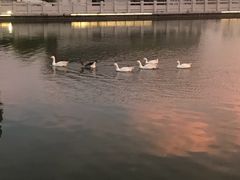 -顺德职业技术大学