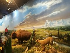 -陕西自然博物馆