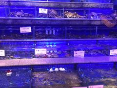 -青蓬蒸汽海鲜·深圳老字号·团建聚会(壹方城店)