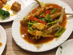 红烧九肚鱼-李记潮汕砂锅粥(营福路店)