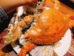 -77号渔船·蒸海鲜青岛菜(积米崖店)