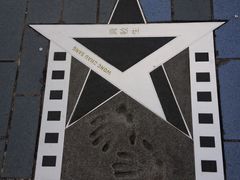 -星光大道