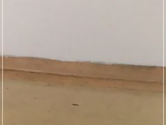 -重庆西南医院(西南院区)