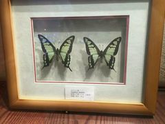 -华中师范大学-图书馆