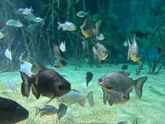-福州罗源湾海洋世界旅游区