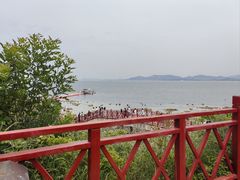 -养马岛旅游度假区