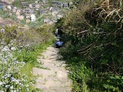 -枸杞岛