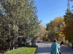 -永定河休闲森林公园