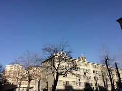 -中央民族大学