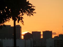 -台场海滨公园船码头
