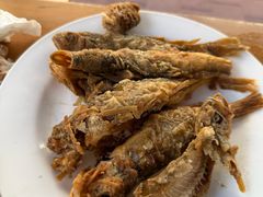 -船歌·鱼水饺青岛菜(闽江二路店)