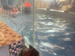-海豚堡温泉水乐园