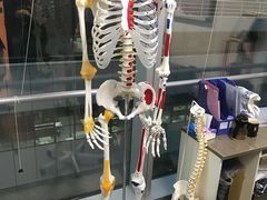 -医家人运动康复中心(福田店)
