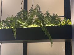 -神仙馆(衡山路店)