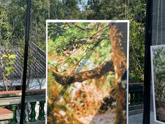 -广州神农草堂中医药博物馆