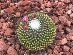 -南通洲际绿博园