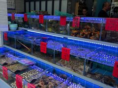 -金海湾海鲜排档(朱家尖店)