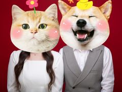 -bobo高端证件照工作室(三元桥店)