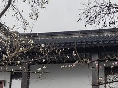 -山塘街
